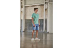 Freeman T. Porter Leandro Kansas T-shirt Col V Homme, Subtle Green